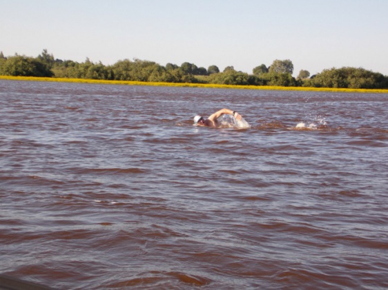 Новгородские моржи проплывут 50 километров по Мсте