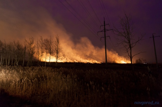 Со следующей недели в Новгородской области начнётся пожароопасный сезон