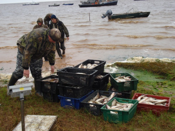 В лодках промысловиков нашли более 270 кг спрятанной рыбы
