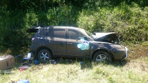 В Новгородском районе иномарка улетела в кювет: погибла женщина, два ребенка пострадали