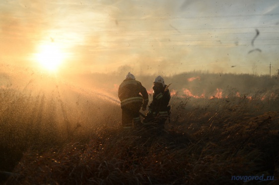 За сутки новгородские пожарные 50 раз выезжали на тушение травы