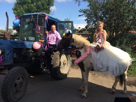 В Сольцах невеста приехала в ЗАГС на лошади, а жених — на тракторе