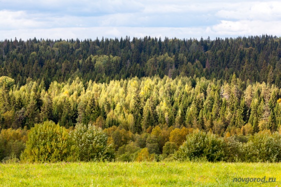 В Новгородской области ввели плату за посещение национального парка «Валдайский»