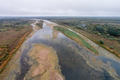 Река Шелонь в районе деревни Велебицы