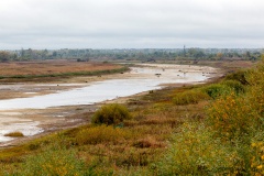 Река Мшага в районе деревни Мшага Воскресенская