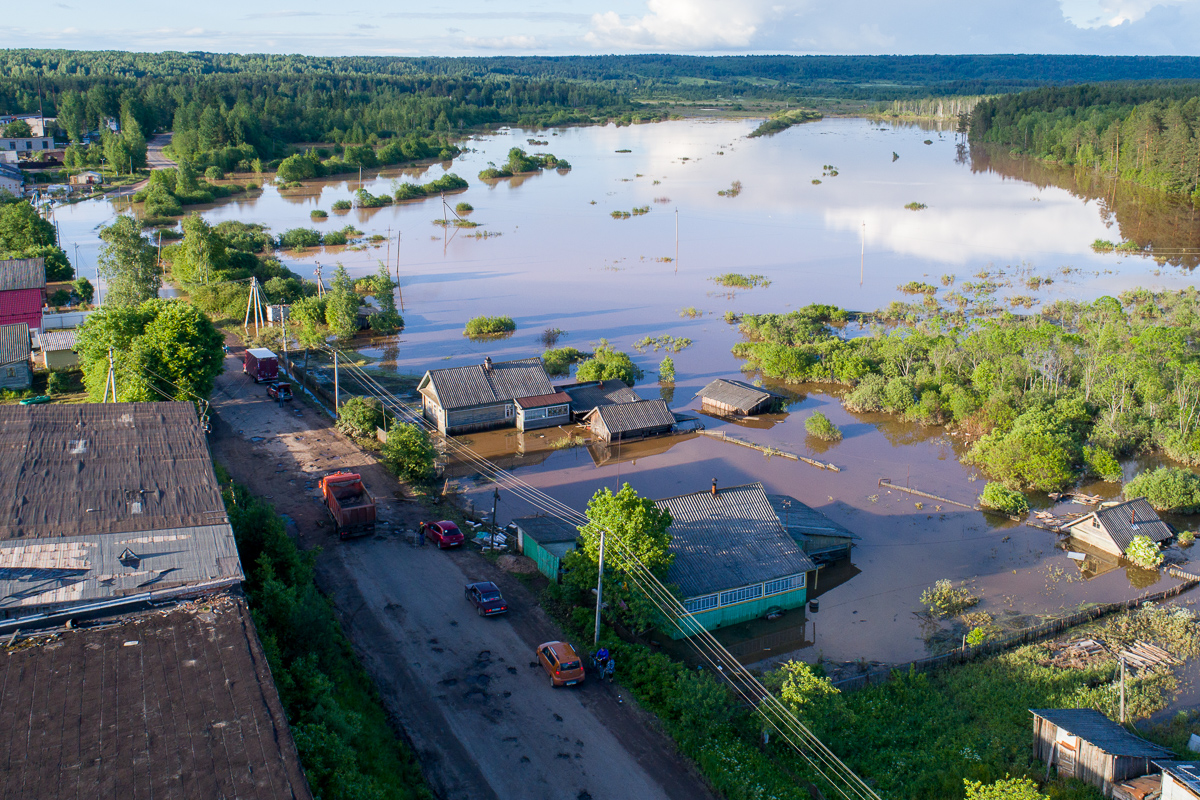 Любытино новгородская область фото