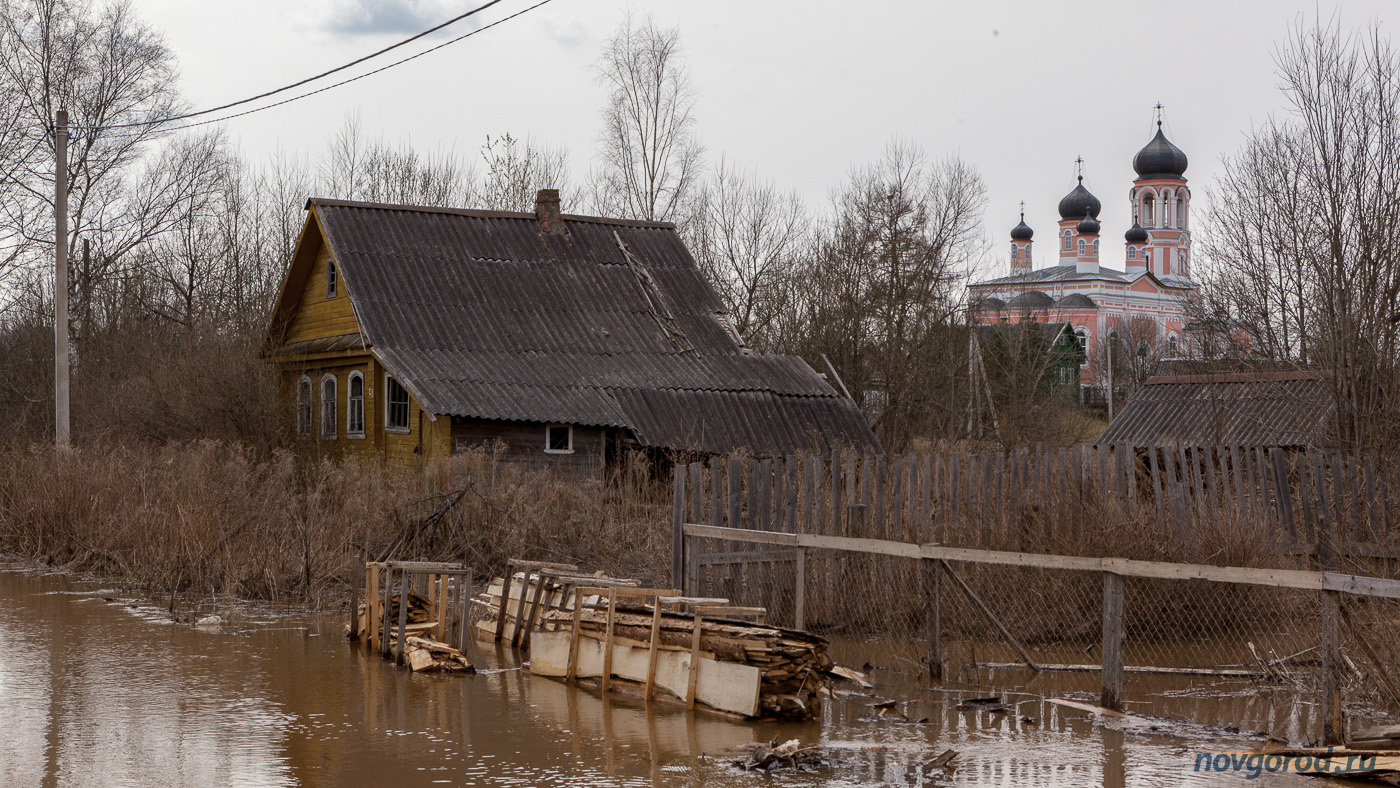 Погода в крестцах новгородской области на 10