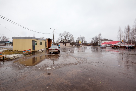© Новости.Новгород.ру. 