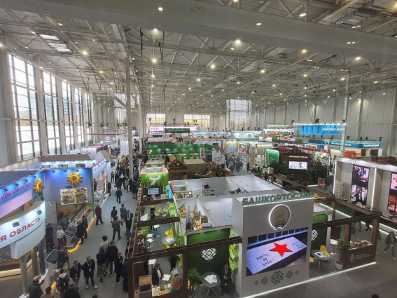 © Телеграм-канал Александра Дронова