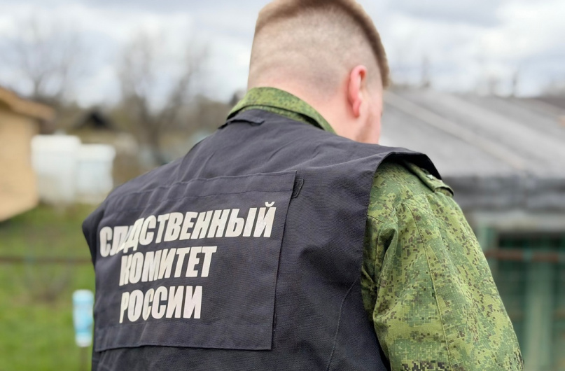 © СУ СКР по Новгородской области