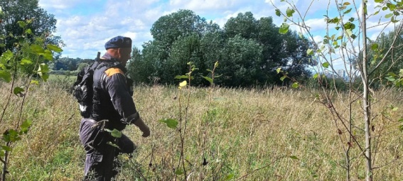В Маловишерском районе 20 человек ищут заблудившегося грибника