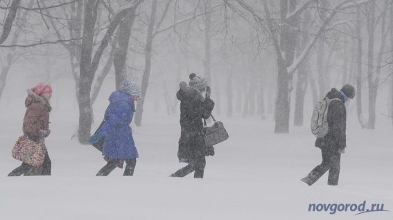 В Новгородской области ожидается мокрый снег и порывистый ветер