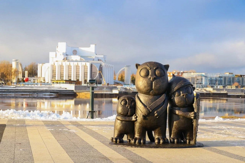 © Телеграм-канал Александра Дронова