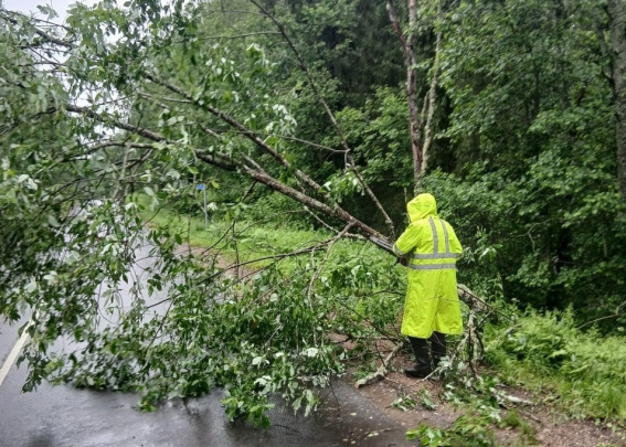 © Министерство транспорта Новгородской области