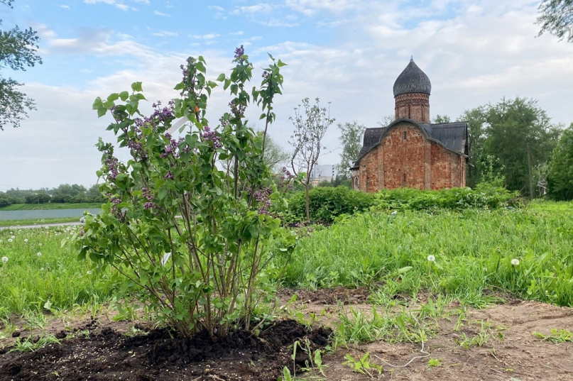 © Центр развития городской среды Новгородской области