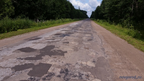 © Новости.Новгород.ру. 