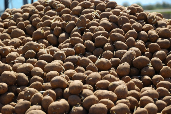 © Пресс-центр правительства Новгородской области