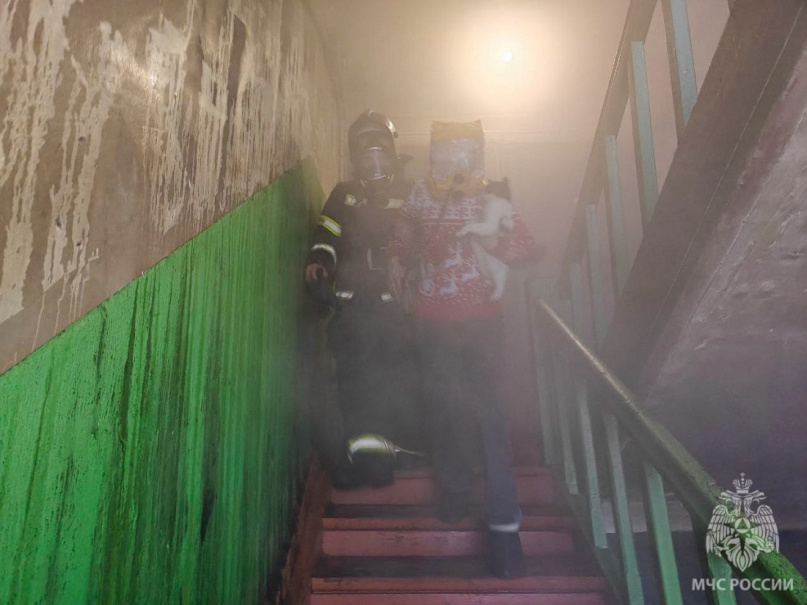 © ГУ МЧС России по Новгородской области