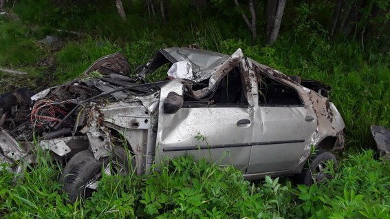 На дорогах Новгородской области за выходные погибли два человека и один лось