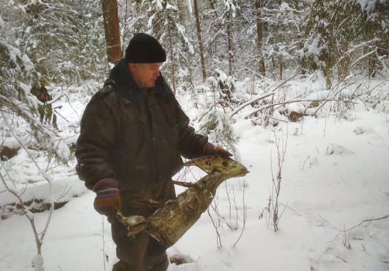 В Новгородской области поисковики обнаружили остатки двух советских боевых самолётов