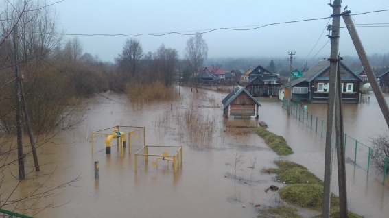 Ликвидацией последствий паводка в Новгородской области занимаются более 200 человек