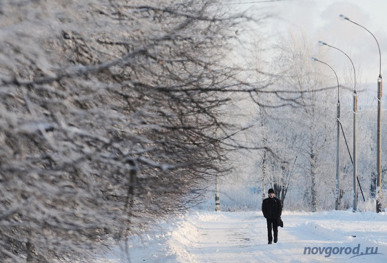 © Новости.Новгород.ру. 