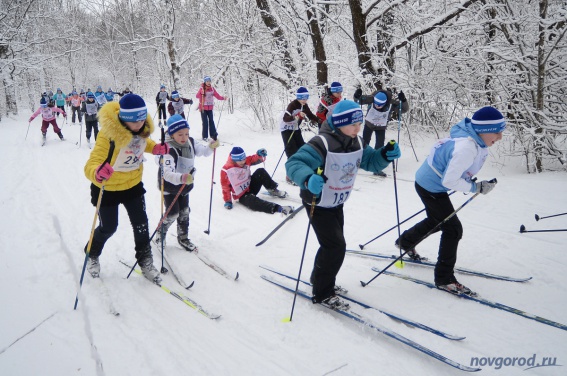 К стартам «Лыжни России» в Шолохово присоединились 350 человек