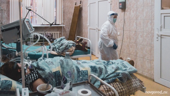 За сутки в Новгородской области выявили 85 случаев коронавируса