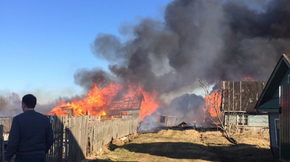Из-за пала травы в Панковке сгорели три дачных дома