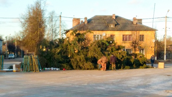 В Сольцах из-за сильного ветра упала главная городская ёлка
