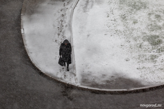 Дождь и мокрый снег ожидают новгородцев в ближайшие дни