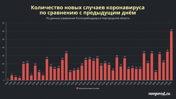 В Новгородской области выявили 60 новых случаев коронавируса