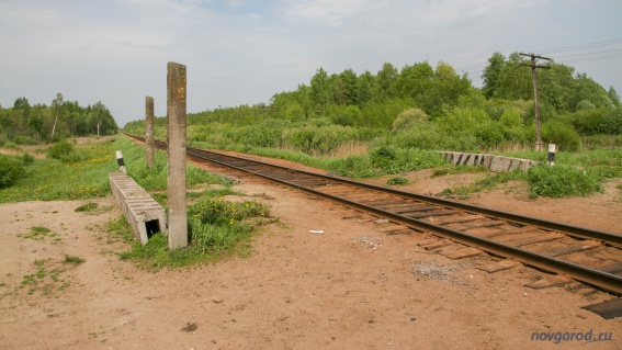 Железнодорожная платформа Болотная. © Фото из архива интернет-портала «Новгород.ру»