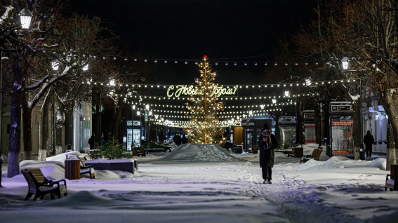 © Бизнес-новости Новгород.ру. 