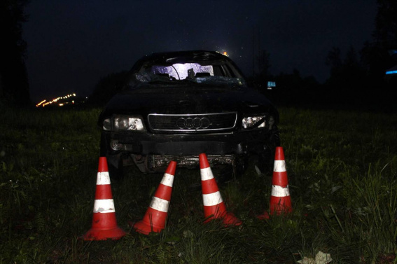 В Новгородской области за сутки сбили двух самокатчиков, одного пешехода и одного лося