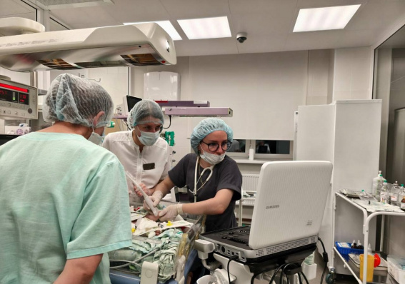 © Минздрав Новгородской области