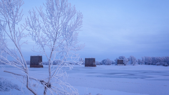 Небольшой снегопад ожидается в Новгородской области в ближайшие дни