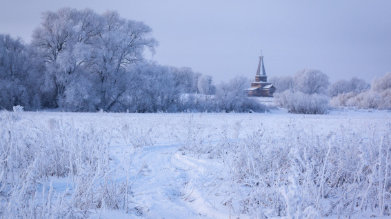 Небольшой снегопад ожидается в Новгородской области завтра