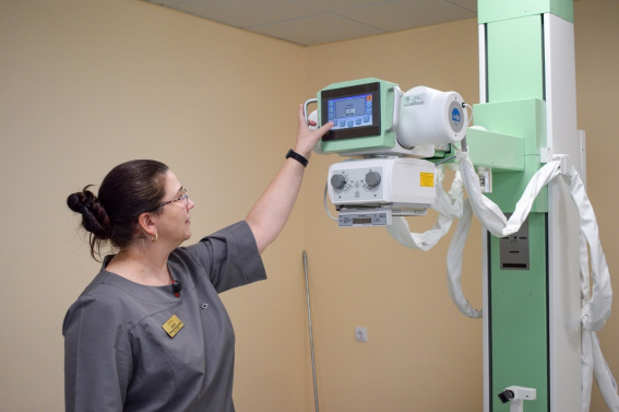 © Министерство здравоохранения Новгородской области