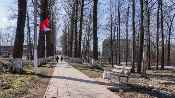 © Центр развития городской среды Новгородской области