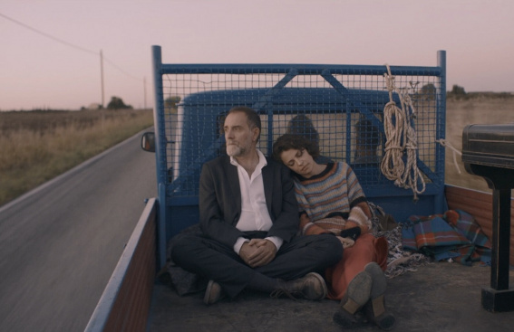 ©  Новости.Новгород.ру.