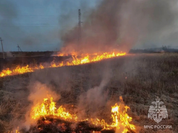 © ГУ МЧС России по Новгородской области