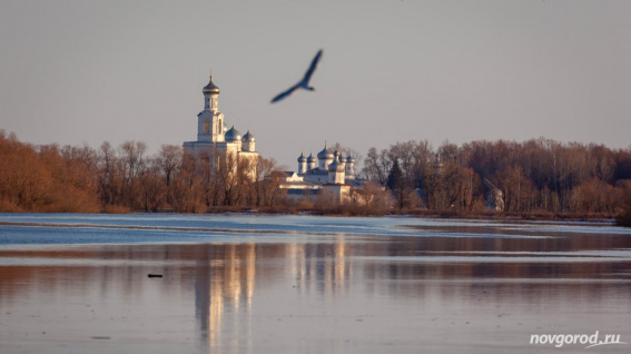 Переменная облачность и потепление до +19 градусов ожидают новгородцев в пятницу