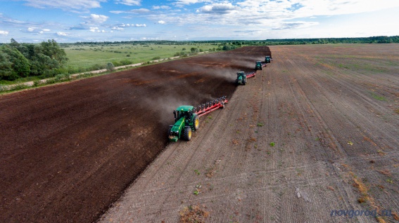 В Новгородской области сельхозпроизводители получили субсидии в 446 млн рублей