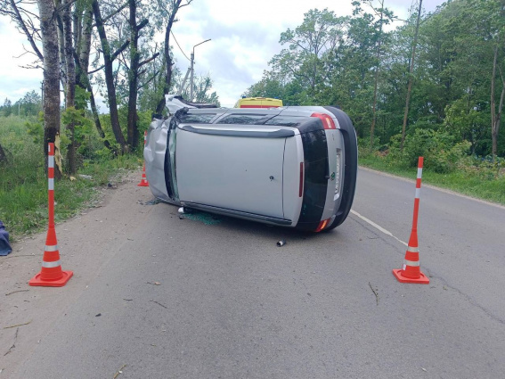 © УГИБДД России по Новгородской области