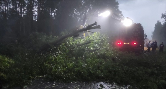 В Маловишерском районе шквалистый ветер повалил на трассу более 50 деревьев