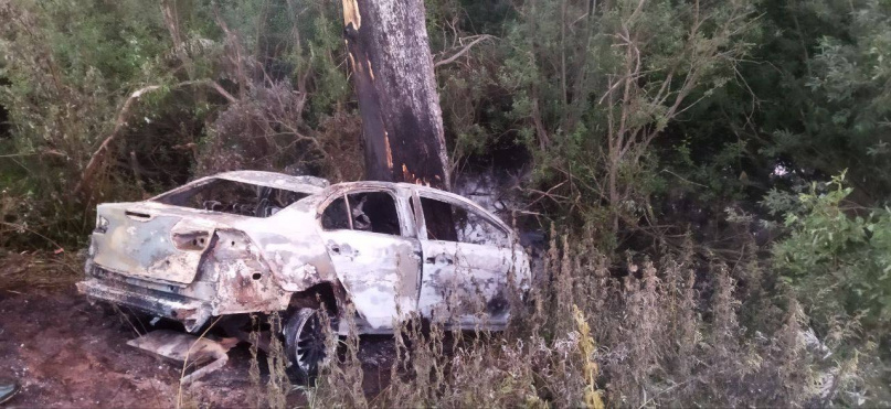 © УГИБДД России по Новгородской области