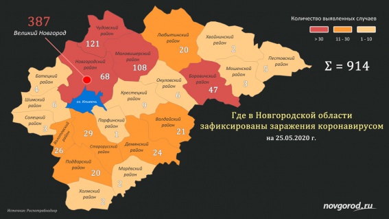 Новые случаи коронавируса выявили в 13 районах Новгородской области