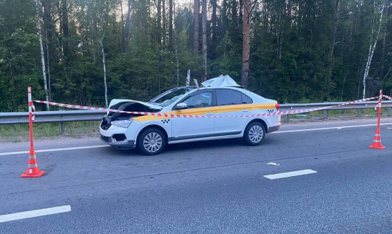 © УГИБДД России по Новгородской области