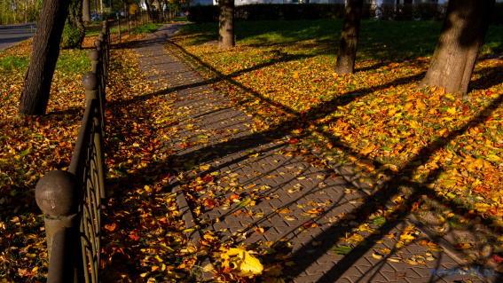 © Фото из архива интернет-портала «Новгород.ру»